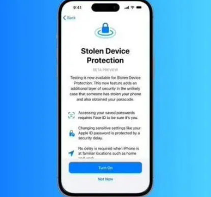 王下乡苹果授权维修店分享被盗设备保护功能开启方法 