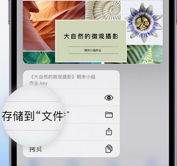 王下乡apple维修中心分享iPhone文件应用中存储和找到下载文件