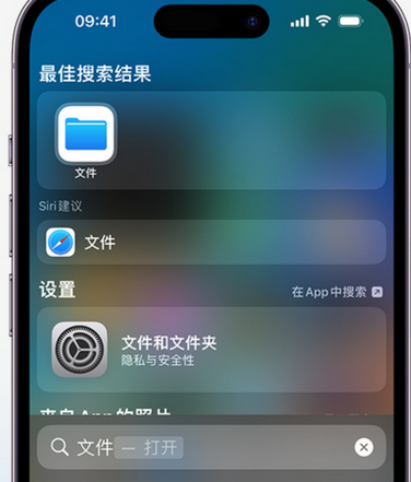 王下乡apple维修中心分享iPhone文件应用中存储和找到下载文件