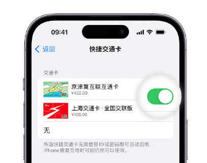 王下乡apple维修点分享iPhone上更换Apple Pay快捷交通卡手绘卡面 