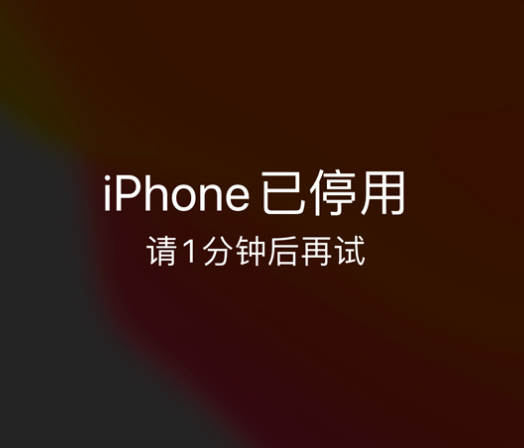 王下乡苹果手机维修分享:iPhone 显示“不可用”或“已停用”怎么办？还能保留数据吗？ 