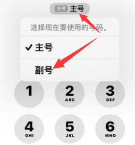 王下乡苹果14维修店分享iPhone 14 Pro Max使用副卡打电话的方法 