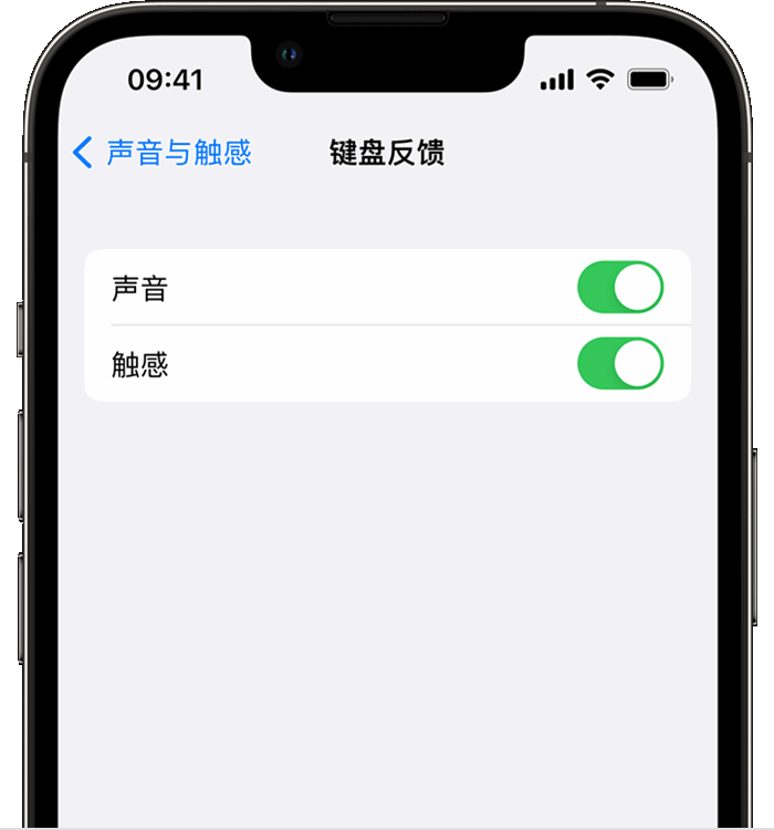 王下乡苹果14维修分享iPhone 14 系列机型如何开启键盘声音或触感反馈 