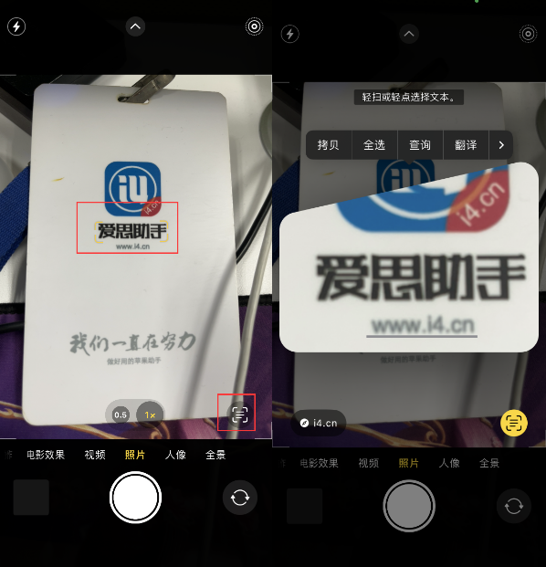 王下乡苹果手机维修分享升级iOS 16后如何通过相机翻译文本 