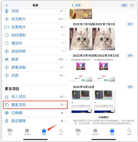 王下乡苹果手机维修分享iOS 16 中相册重复项目功能使用方法 