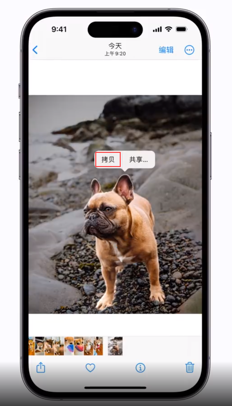 王下乡苹果手机维修分享 iOS 16 自带一键抠图功能 