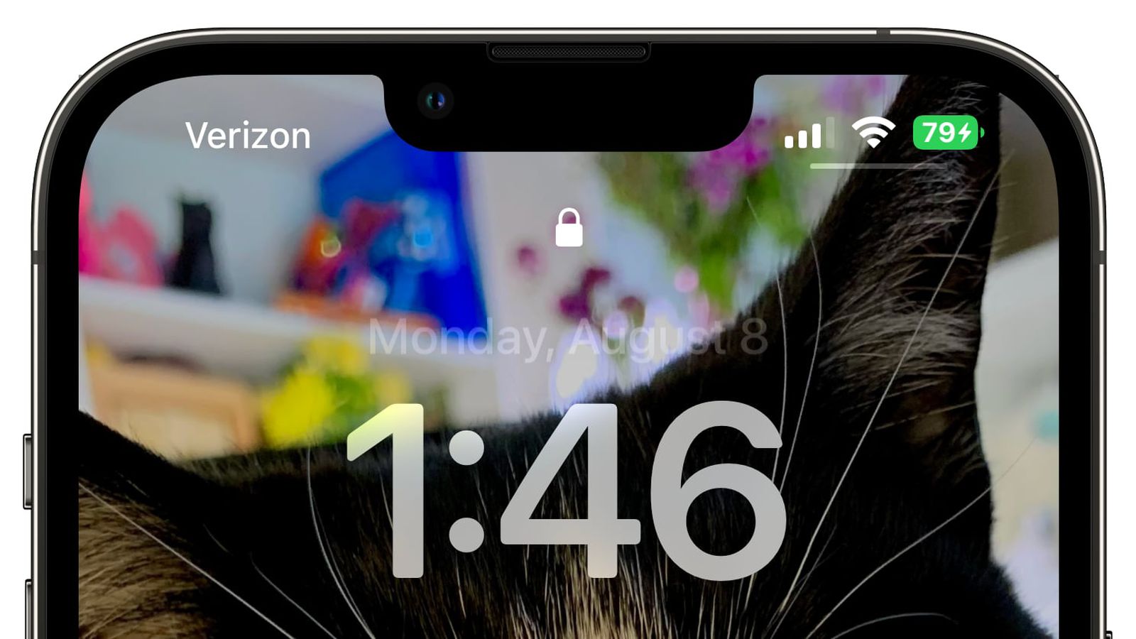 王下乡苹果手机维修分享iOS 16 beta 5 支持状态栏显示电池百分比，如何开启？支持哪些机型 