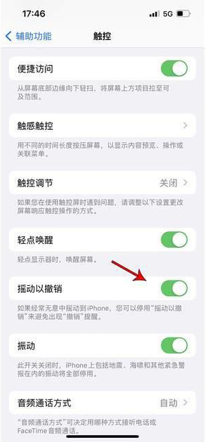 王下乡苹果手机维修分享iPhone手机如何设置摇一摇删除文字 