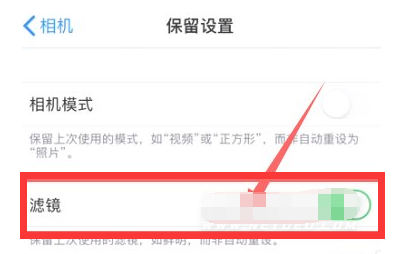 王下乡苹果13维修分享iPhone13拍照有绿点是怎么回事 