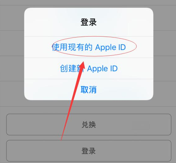 王下乡苹果手机维修分享两台iPhone设备可以同时登录一个Apple ID吗 