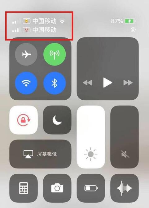 王下乡苹果手机维修分享为 iPhone 12 双卡设置标签 