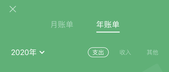 王下乡苹果手机维修分享如何在 iPhone 上查看支付宝和微信年支出账单 
