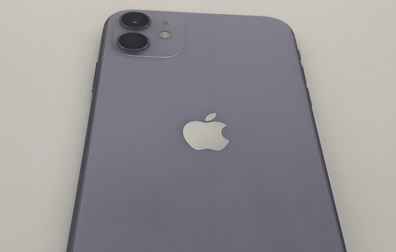王下乡苹果11系统维修分享iPhone11手机系统崩溃无法开机如何解决 